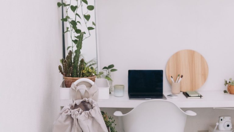 10 Best Indoor Office Plants for Enhancing Your Home Office Environment