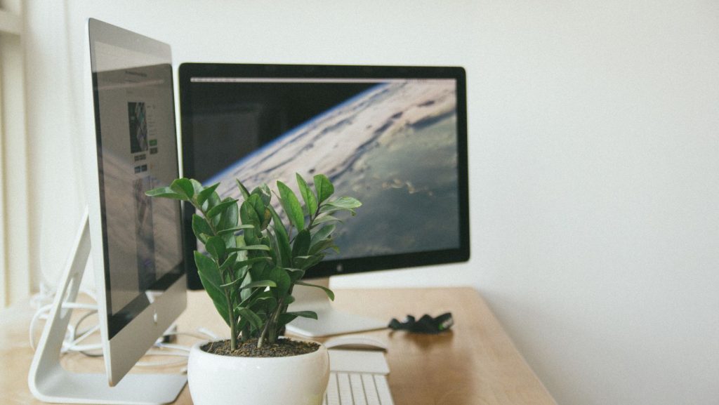 Dual Monitor Setup